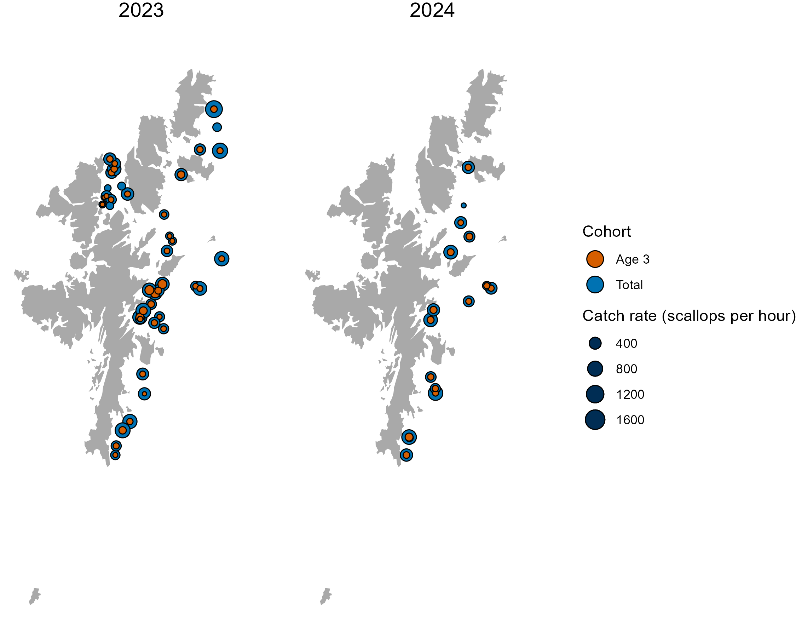 Maps showing the spatial distribution of Shetland survey catch rates in 2023 and 2024 for age 3 and total number of individuals.