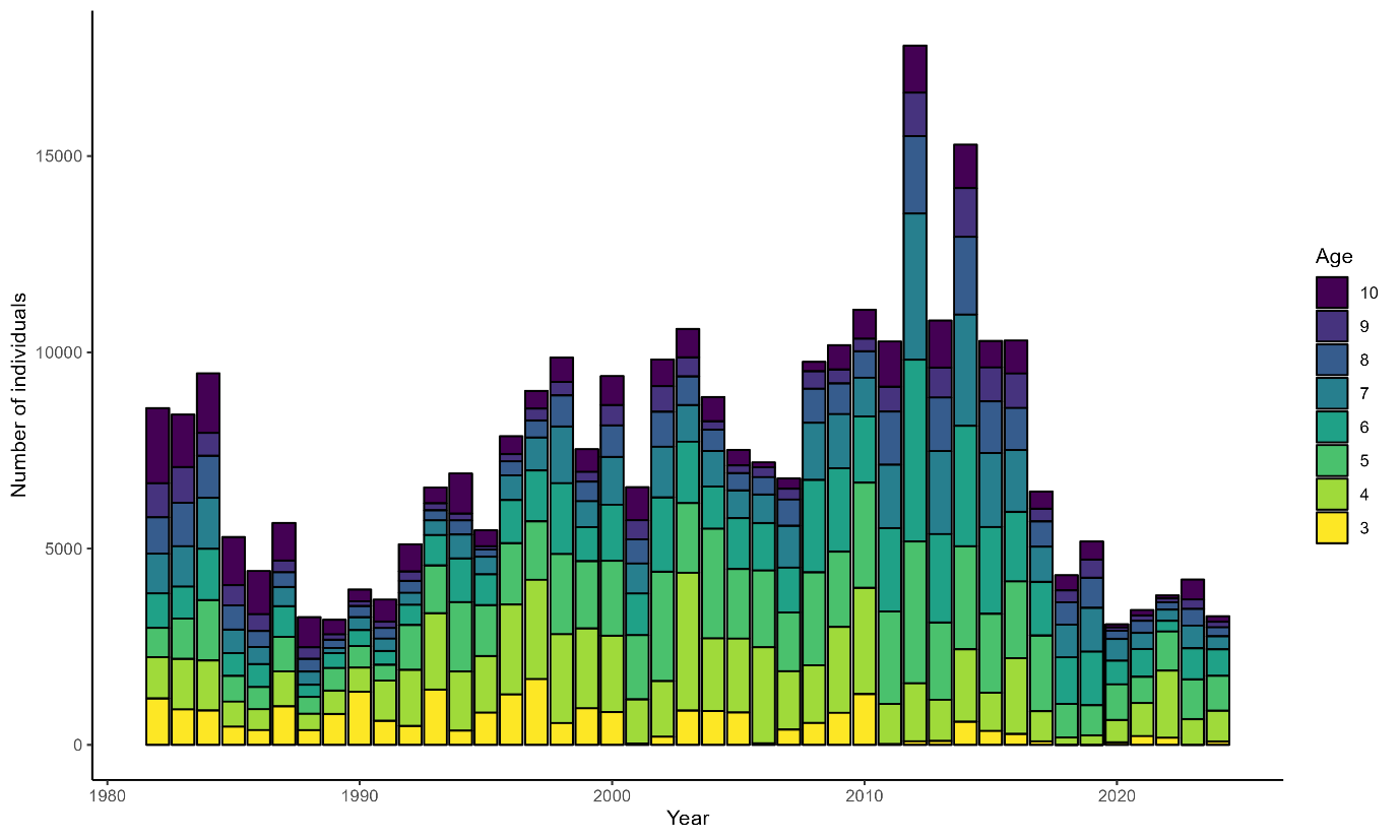 Bar plot of the total number of scallops caught in the West of Kintyre area over time with bars subdivided by age class.