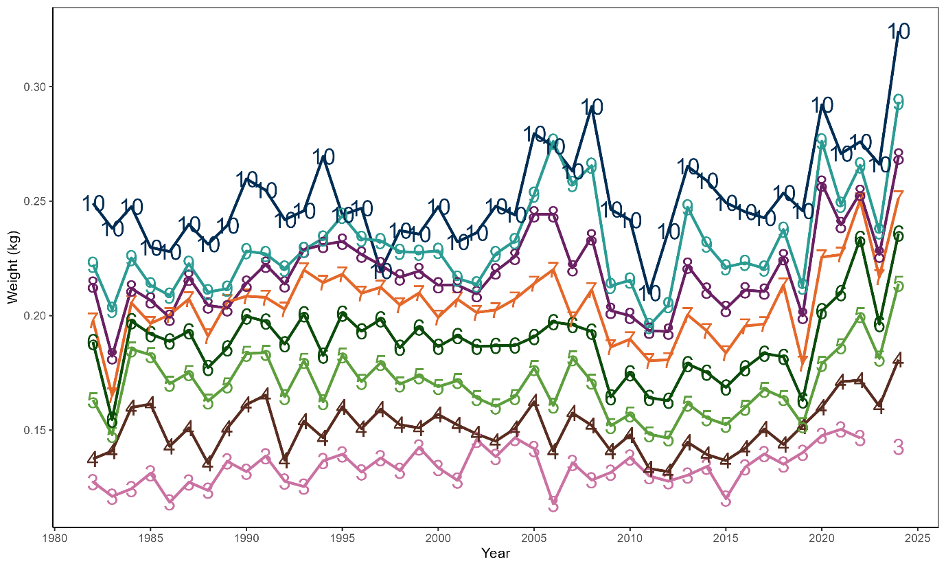 Line plot showing the fluctuations in mean weight in kg by age over time for scallops in the West of Kintyre area.