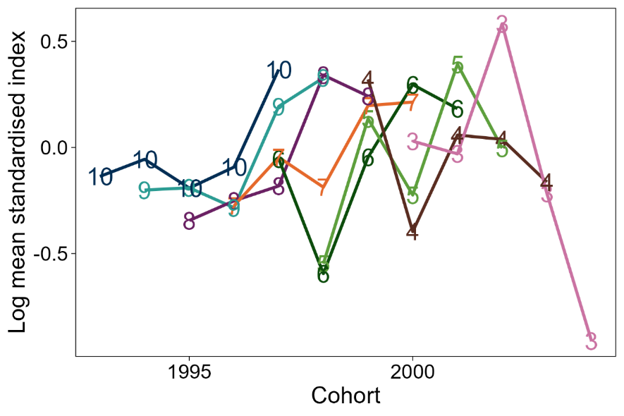 Middle: Line graph of log mean standardised index at age by cohort from the Aora 2 survey of the West of Kintyre area.