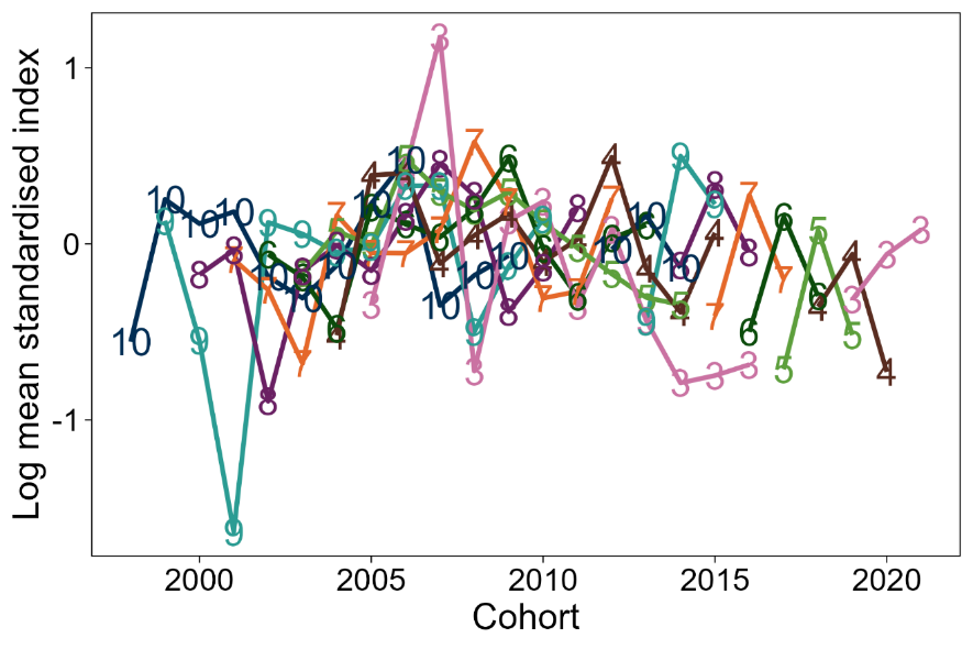 Bottom: Line graph of log mean standardised index at age by cohort from the Alba survey of the West of Kintyre area.