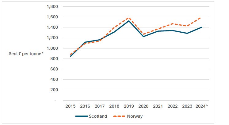 A line graph showing the real price per tonne of mackerel landed by the Scottish pelagic fleet into Scotland and Norway, between 2015 to 2024.