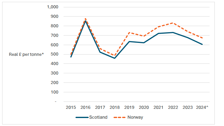 A line graph showing the real price per tonne of herring landed by the Scottish pelagic fleet into Scotland and Abroad, between 2015 to 2024.