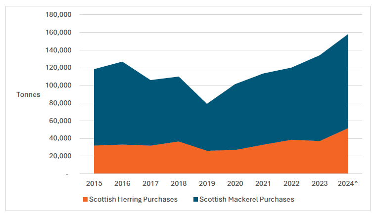 A stacked area chart showing the tonnes of Scottish-caught herring and mackerel purchased by the top four pelagic processors in Scotland, for the years 2015 to 2024.