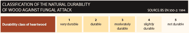 table graphic