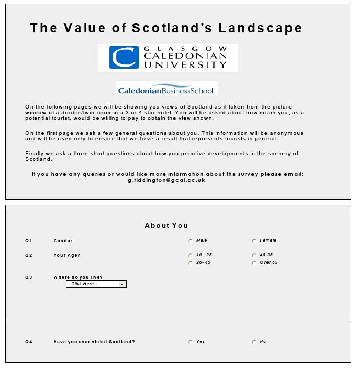 The Internet Survey