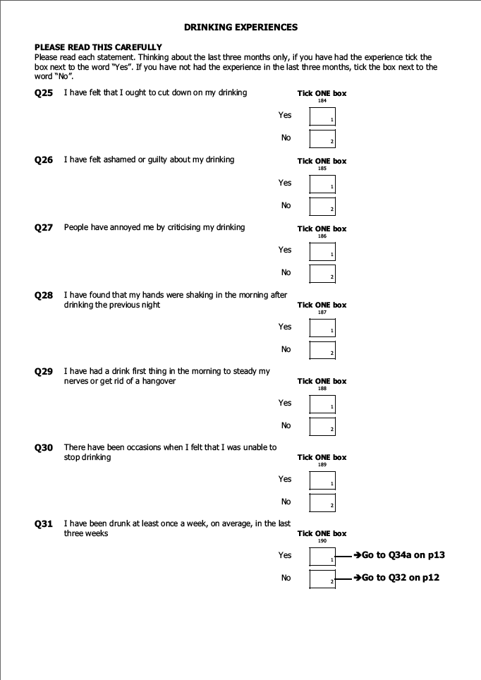 Self-completion booklet for young adults