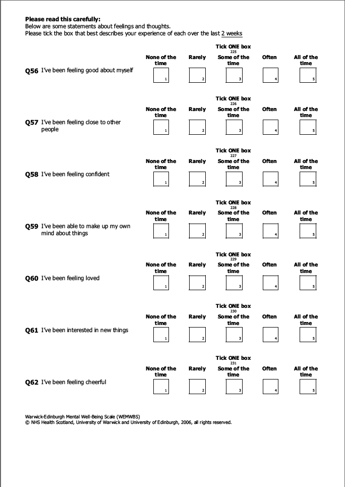 Self-completion booklet for young adults
