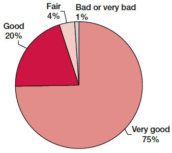 Figure 2-A General health of child