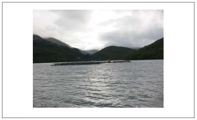 Figure 15: A freshwater salmon pen unit, Loch Arkaig