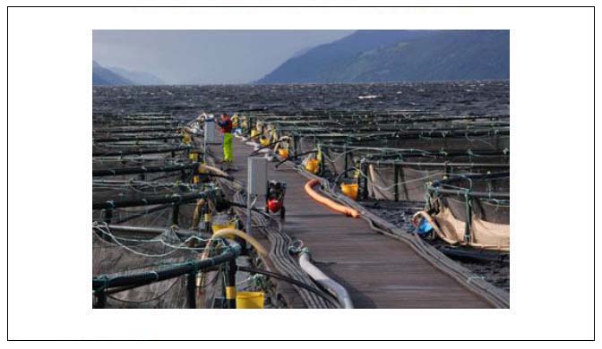 Figure 18: Freshwater pens recently installed in Loch Ness.