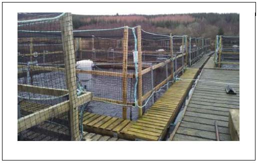 Figure 19: Freshwater pens used for trout production