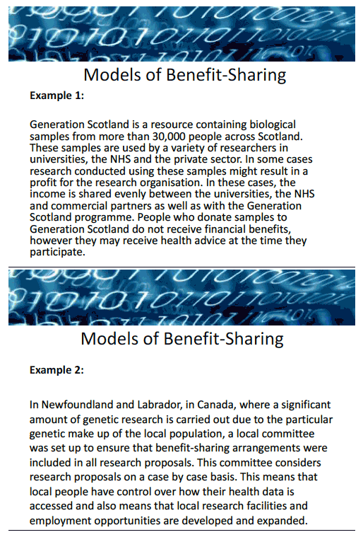 Presentation slide 6