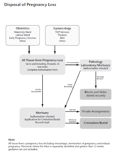 Flow Chart