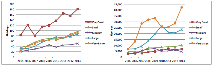 Figure 21 Number of holdings with and area rented through SLDTs, by size grouping: 2005-13
