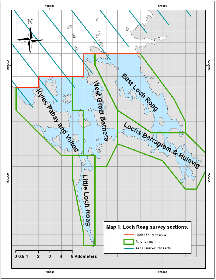 Figure 4 &ndash; Loch Roag survey sections