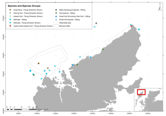 Figure 8 &ndash; April gull and skua records from digital aerial survey