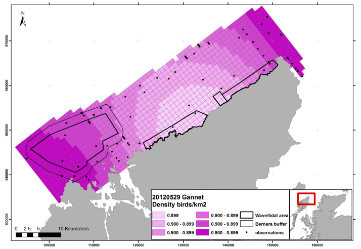 Figure 104 &ndash; May gannet density surface model from digital aerial survey