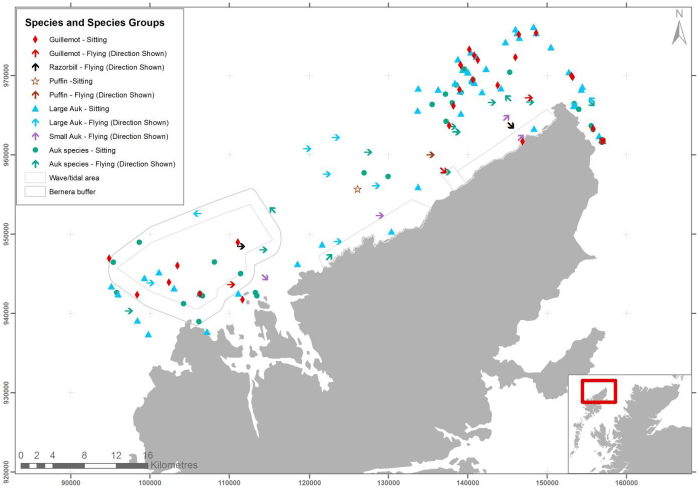 Figure 9 &ndash; April auk records from digital aerial survey
