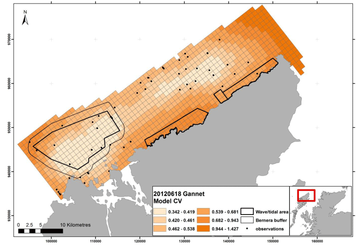 Figure 111 &ndash; June gannet coefficient of variance map from digital aerial survey