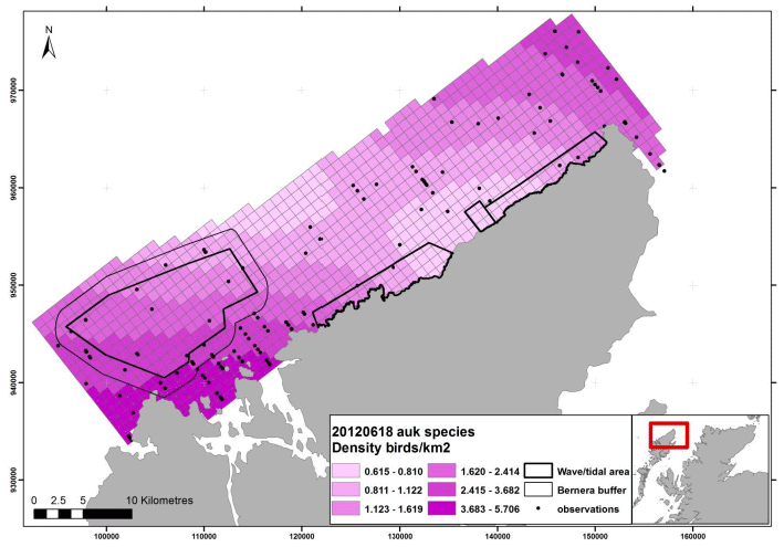 Figure 112 &ndash; June auk density surface model from digital aerial survey