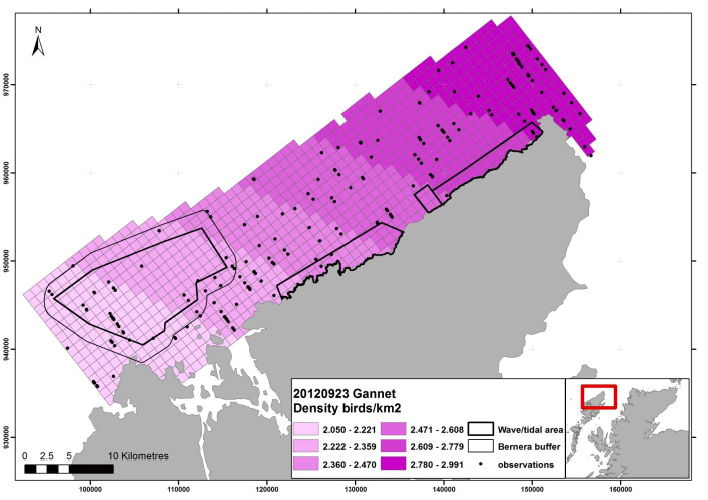 Figure 122 - September gannet density surface model from digital aerial survey
