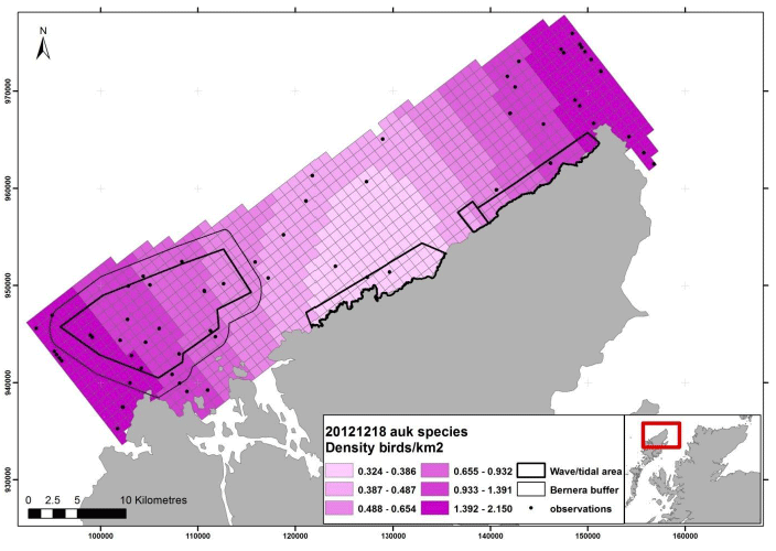 Figure 130 - December auk density surface model from digital aerial survey