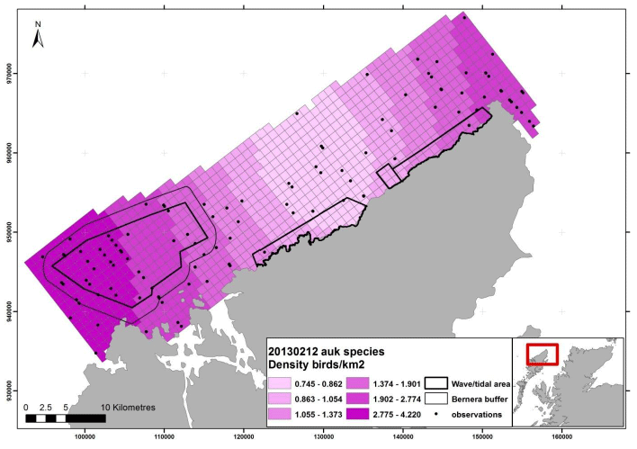 Figure 136 - February auk density surface model from digital aerial survey