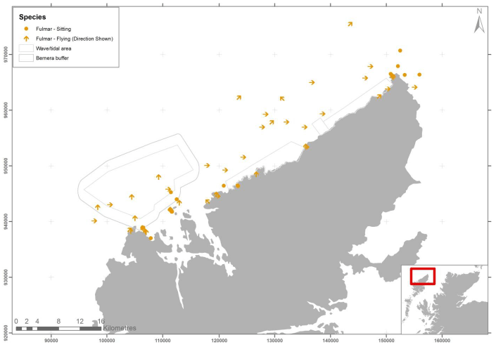 Figure 17 &ndash; June fulmar records from digital aerial survey