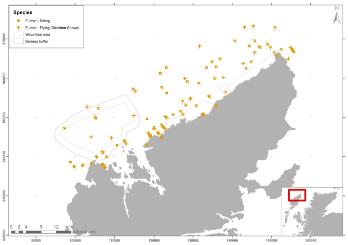 Figure 23 &ndash; July fulmar records from digital aerial survey