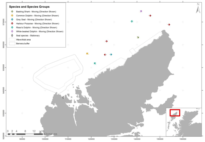 Figure 27 &ndash; July cetacean, marine mammal and shark records from digital aerial survey