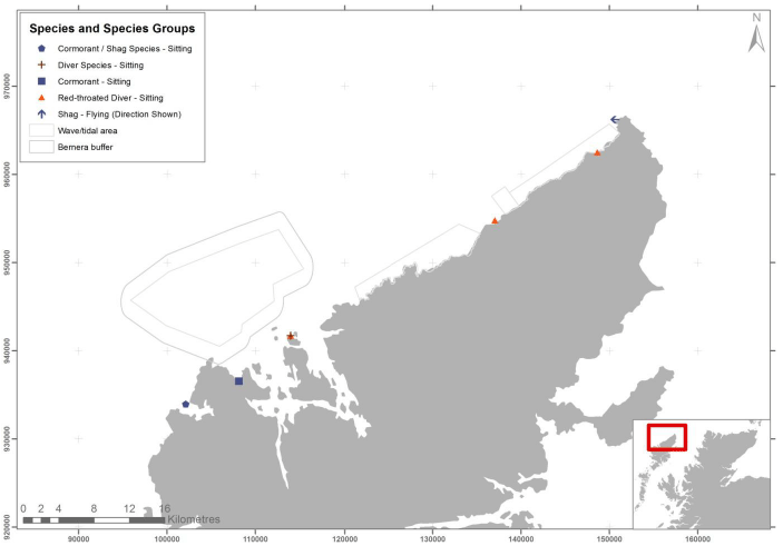 Figure 28 &ndash; September diver and cormorant records from digital aerial survey