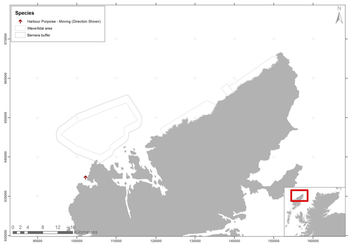 Figure 40 - December cetacean records from digital aerial survey
