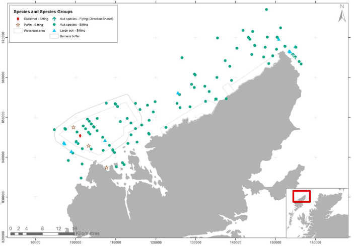 Figure 46 &ndash; February auk records from digital aerial survey