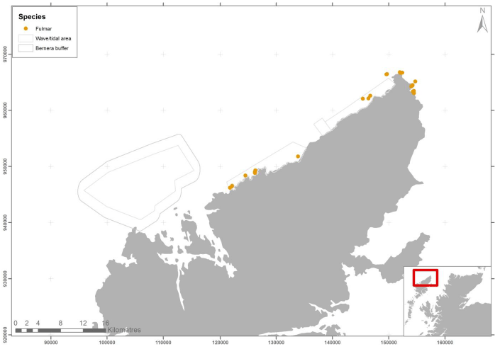 Figure 49 &ndash; April fulmar records from ground-based counts