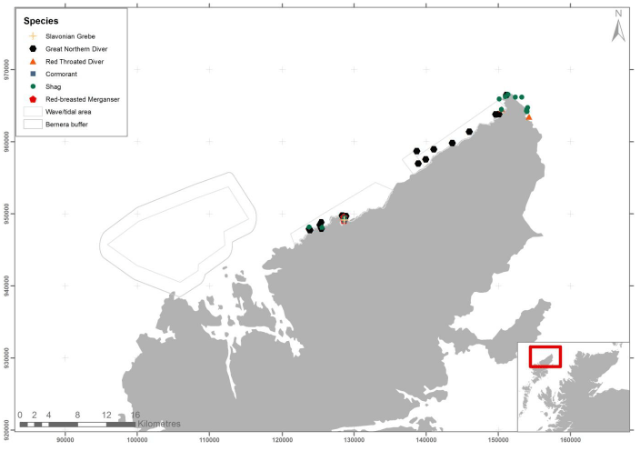 Figure 53 &ndash; May diver and shag records from ground-based counts