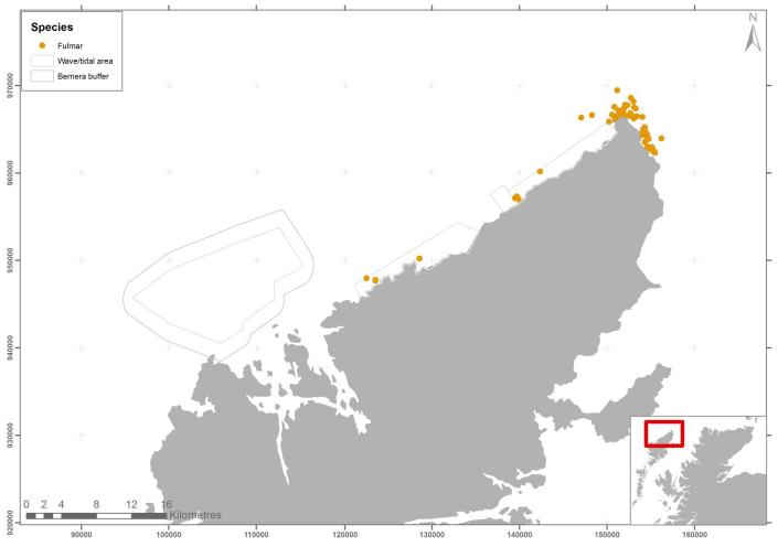 Figure 59 &ndash; June fulmar records from ground-based counts