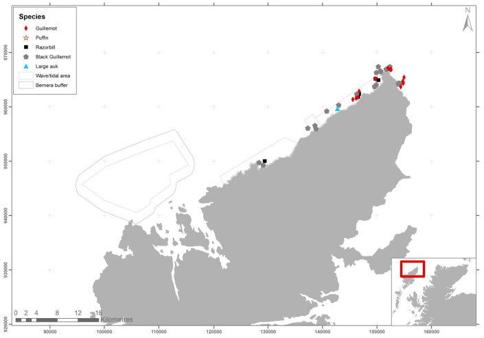 Figure 68 &ndash; July auk records from ground-based counts