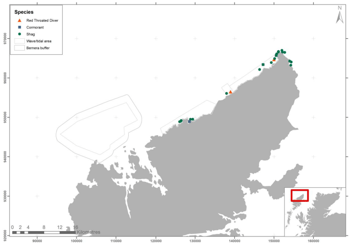 Figure 70 &ndash; September diver and cormorant records from ground based counts