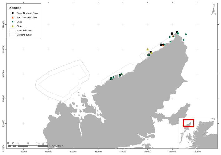 Figure 75 &ndash; December duck, diver and cormorant records from ground based counts