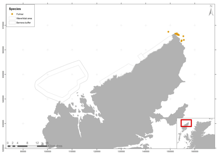 Figure 76 - December fulmar records from ground based counts