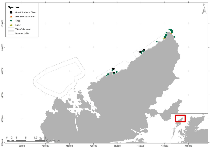 Figure 79 - February duck, diver and cormorant records from ground based counts