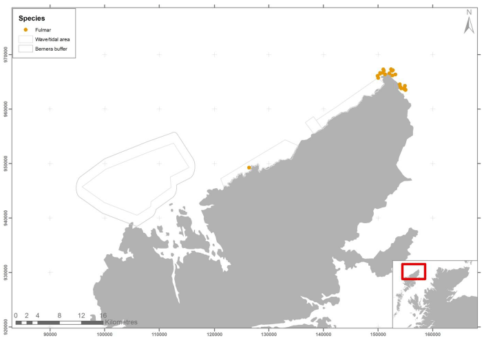 Figure 80 - February fulmar records from ground based counts