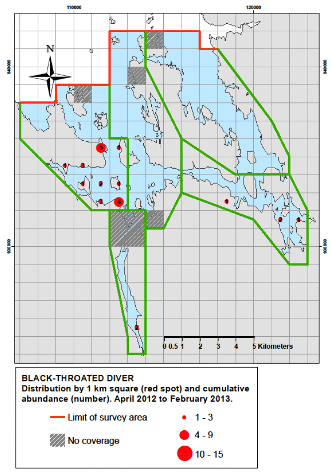 Figure 89 - Black-throated diver distribution by 1km square and cumulative abundance, April 2012 &ndash; February 2013