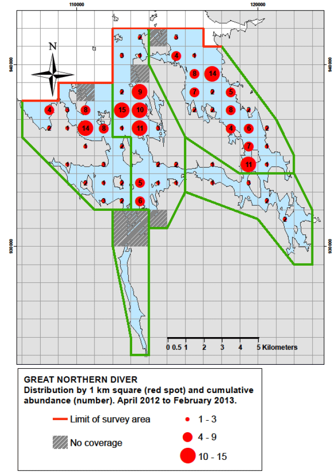 Figure 90 - Great northern diver distribution by 1km square and cumulative abundance, April 2012 &ndash; February 2013