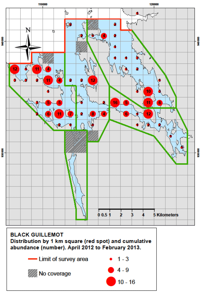 Figure 94 - Black guillemot distribution by 1km square and cumulative abundance, April 2012 &ndash; February 2013