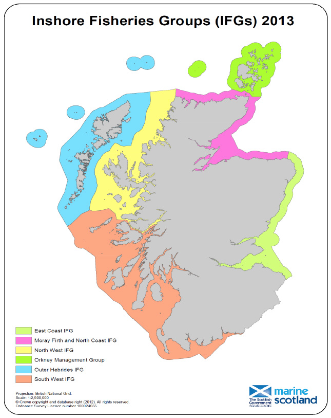 Figure 2.1.1 IFG MAP