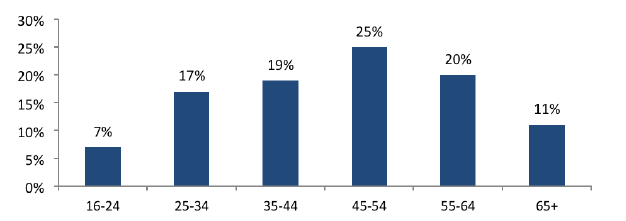 Age profile of adult visitors
