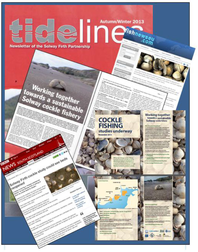 Publications surounding the management study Publications surrounding the management study