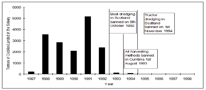 Figure 1: Volume cockles landed by UK vessels from the Solway (Ayr Fisheries Statistics and MAFF - taken from SSMA 2004 Regulating Order) Figure 1: Volume cockles landed by UK vessels from the Solway (Ayr Fisheries Statistics and MAFF - taken from SSMA 2004 Regulating Order)
